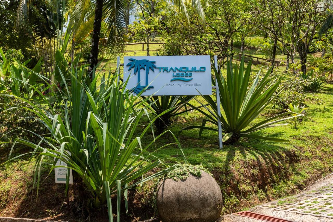 The Tranquilo Lodge, Adult Only, All Meals Included Drakes Bay Kültér fotó